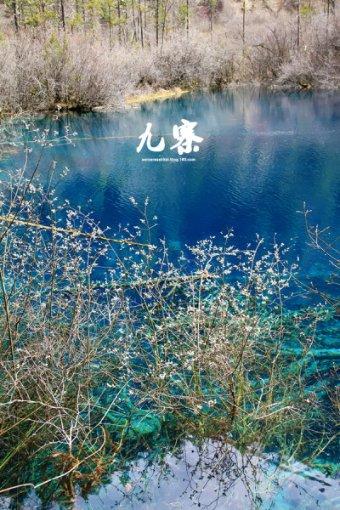 hahabetcom官网星辰大海
